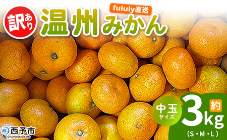 ＜fululy直送 温州みかん 訳あり 約3kg 中玉サイズ（S～L）＞ ワケアリ サイズ混合 中玉 果物 フルーツ 蜜柑 うんしゅうみかん ウンシュウミカン 柑橘 家庭用 合同会社fululy 直送 愛媛県 西予市【常温】『2025年11月上旬～2026年2月上旬迄に順次出荷』 AGF0003