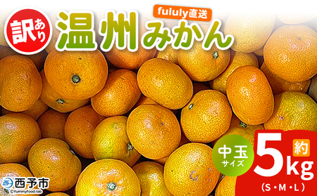 ＜fululy直送 温州みかん 訳あり 約5kg 中玉サイズ（S～L）＞ ワケアリ サイズ混合 中玉 果物 フルーツ 蜜柑 うんしゅうみかん ウンシュウミカン 柑橘 家庭用 合同会社fululy 直送 愛媛県 西予市【常温】『2025年11月上旬～2026年2月上旬迄に順次出荷』 AGF0004
