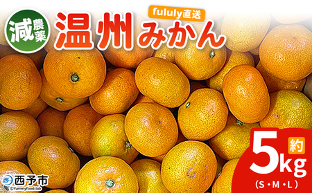 ＜fululy直送 減農薬温州みかん 約5kg＞ サイズ混合 果物 フルーツ 蜜柑 温州ミカン うんしゅうみかん ウンシュウミカン 減農薬 家庭用 柑橘 合同会社fululy 直送 愛媛県 西予市【常温】『2025年11月上旬～2026年1月中旬迄に順次出荷』 AGF0006