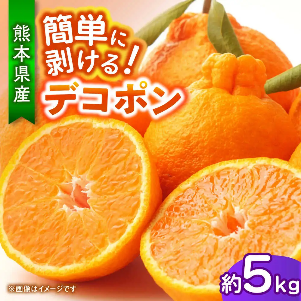 【先行予約】デコポン　約5kg 柑橘 みかん 蜜柑 熊本 フルーツ 果物 【日本フルーツ株式会社】[ZFJ034]