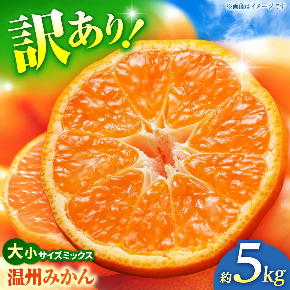 【先行予約】 温州みかん 訳あり サイズミックス 3S-3L 約5kg みかん 蜜柑 サイズ 不選別 家庭用 柑橘 フルーツ 果物 【日本フルーツ株式会社】[ZFJ050]