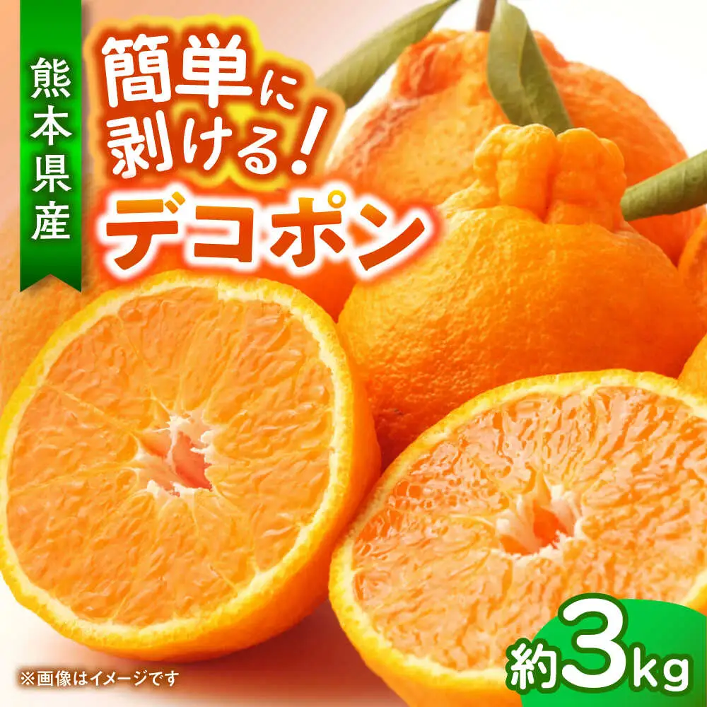 【先行予約】デコポン　約3kg 柑橘 みかん 蜜柑 熊本 フルーツ 果物 【日本フルーツ株式会社】[ZFJ033]