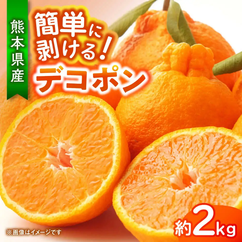 【先行予約】デコポン　約2kg 柑橘 みかん 蜜柑 熊本 フルーツ 果物 【日本フルーツ株式会社】[ZFJ032]