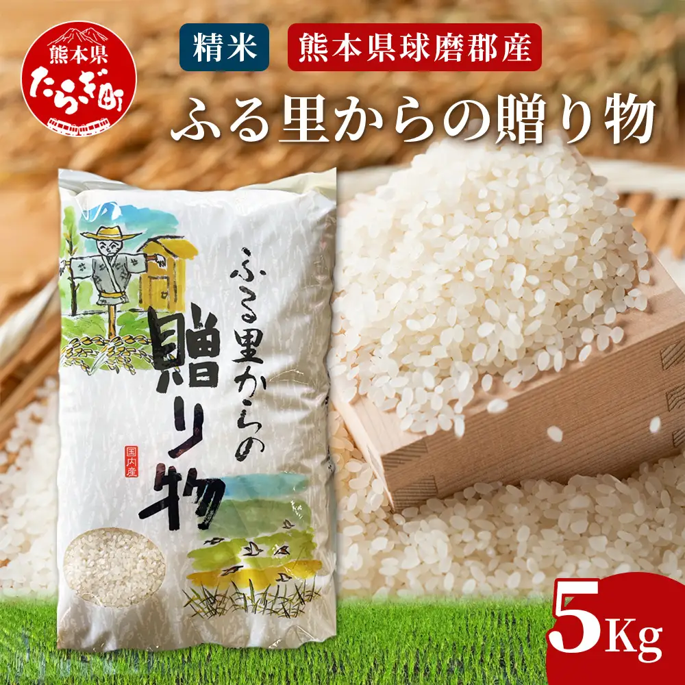 【令和7年度産米】球磨産 ひのひかり 精米 5kg お米 ヒノヒカリ お米 白米 036-0180