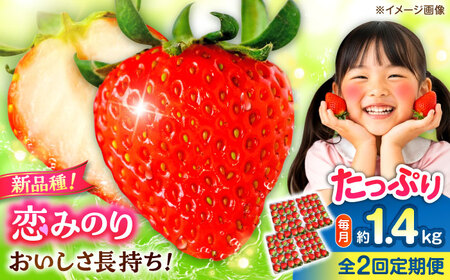 【2回定期便】 【先行予約】いちご 恋みのり 百花園ファーム 約1.4kg（約350g×4P）20粒/P Lサイズ 【亀井通産 株式会社】[AYBQ083]