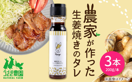 農家が作った生姜焼きのタレ 3本セット ギフトボックス入り【うさぎ農園】[AYDJ011]
