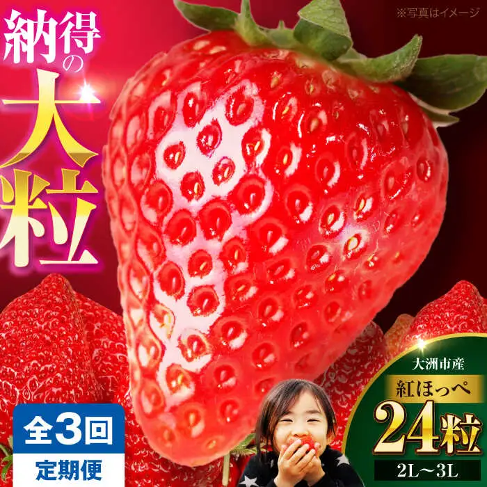 いちご 定期便 いちご 全3回[AGAR017]