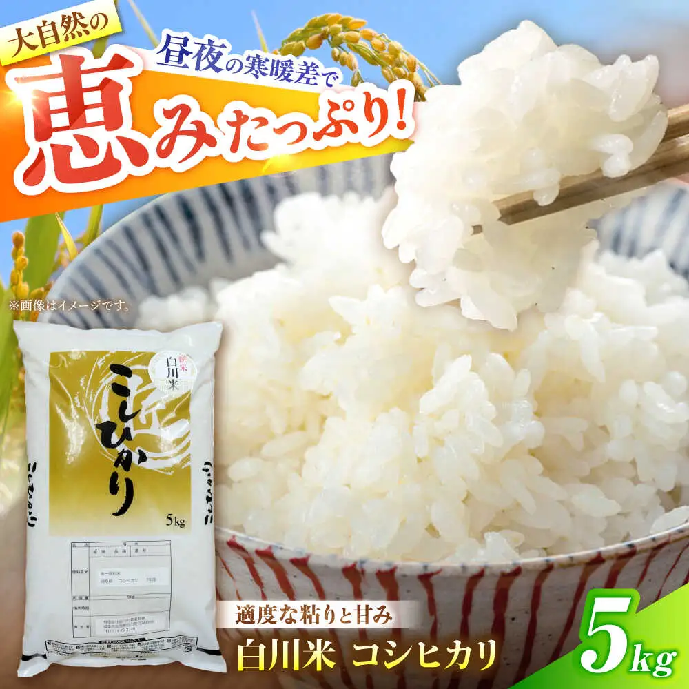 令和7年産 コシヒカリ 5kg 白川町 / 白川町農業開発[AWAH030]コシヒカリ