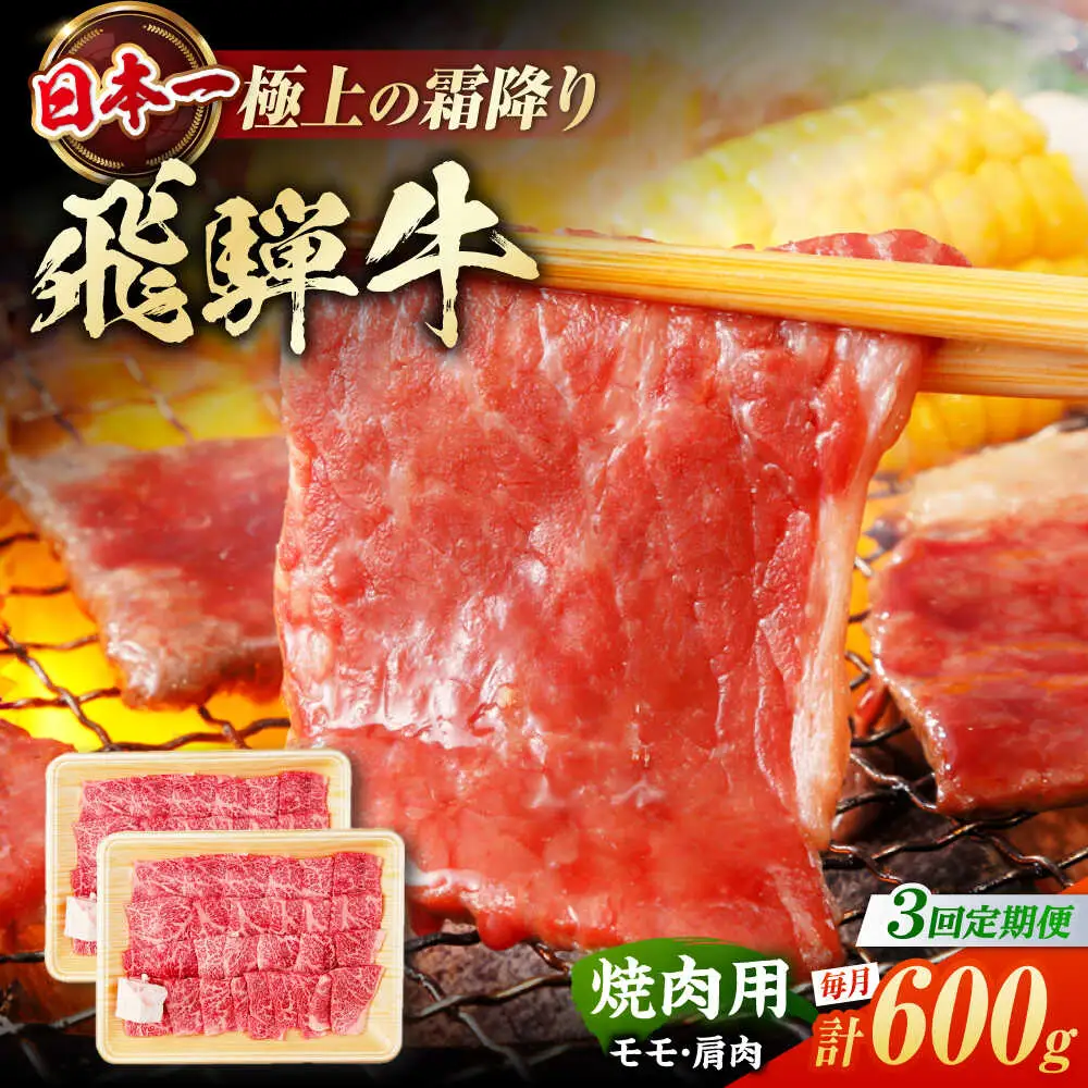 【3回定期便】飛騨牛 焼肉用赤身 600g / 浅井商店[AWBJ012] 飛騨牛