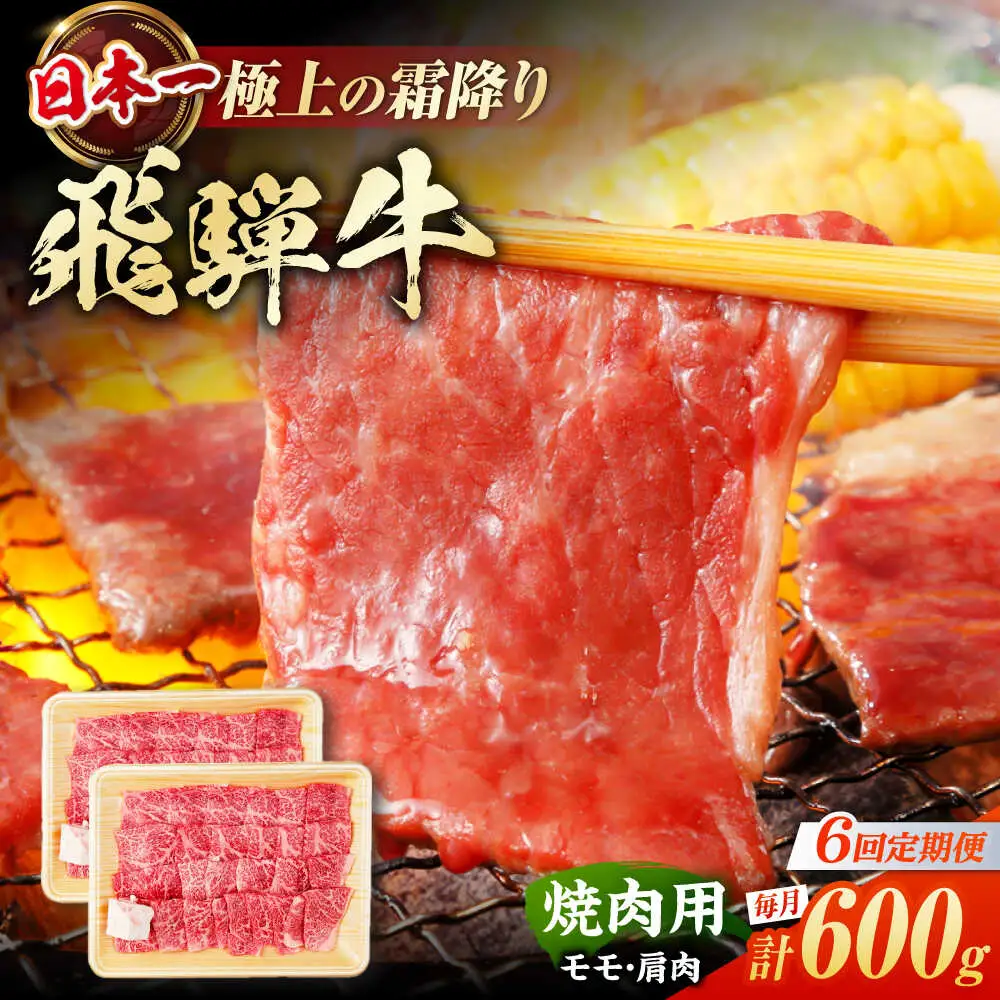 【6回定期便】飛騨牛 焼肉用赤身 600g / 浅井商店[AWBJ013] 飛騨牛