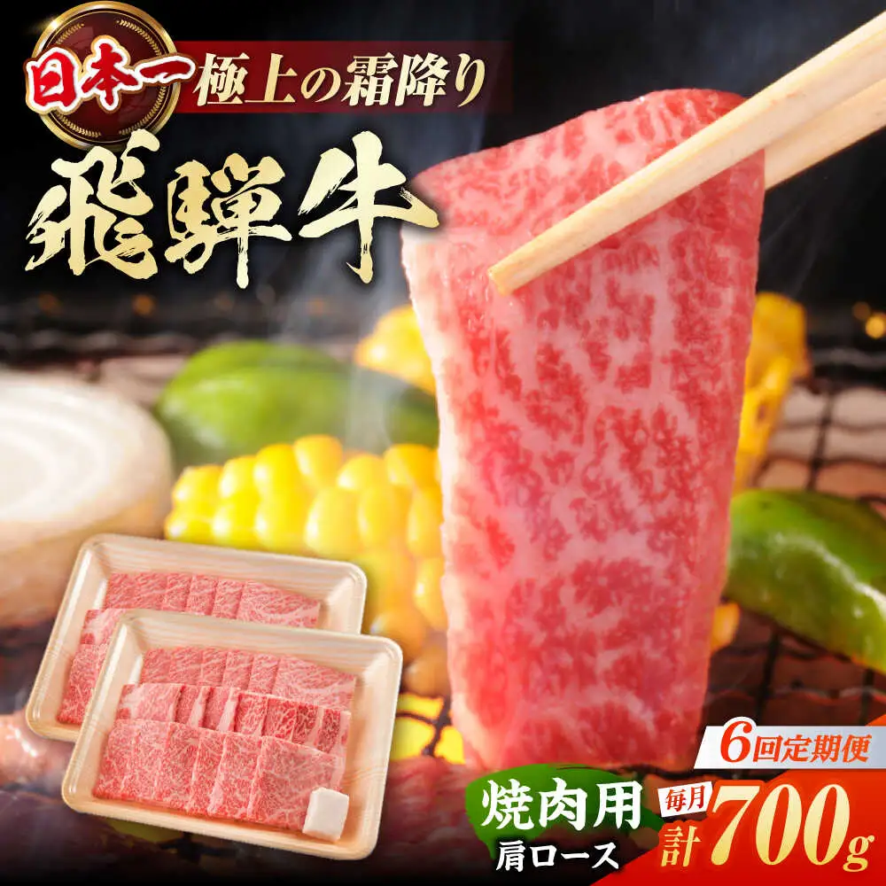 【6回定期便】飛騨牛 焼肉用肩ロース 700g / 浅井商店[AWBJ016] 飛騨牛