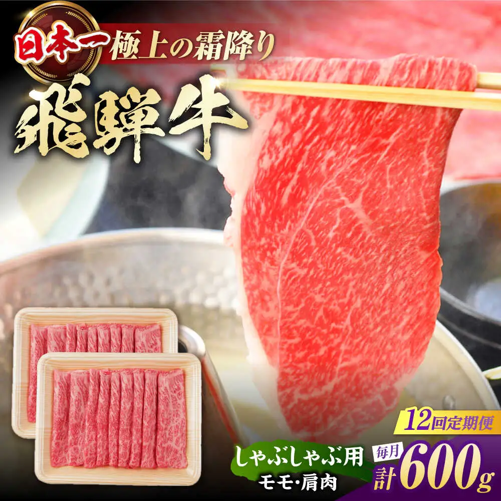 【12回定期便】飛騨牛 牛しゃぶ用赤身 600g / 浅井商店[AWBJ020] 飛騨牛