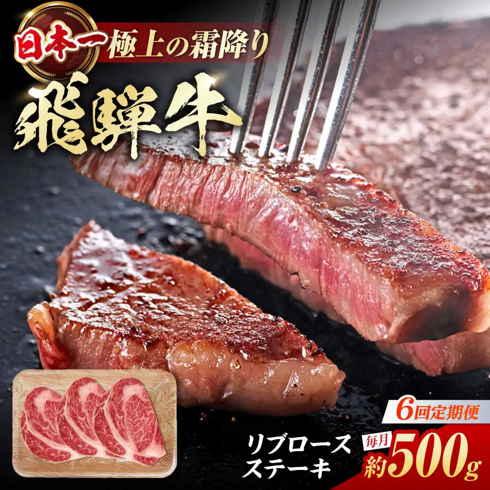 【6回定期便】飛騨牛 ステーキ用計500g / 浅井商店[AWBJ031] 飛騨牛