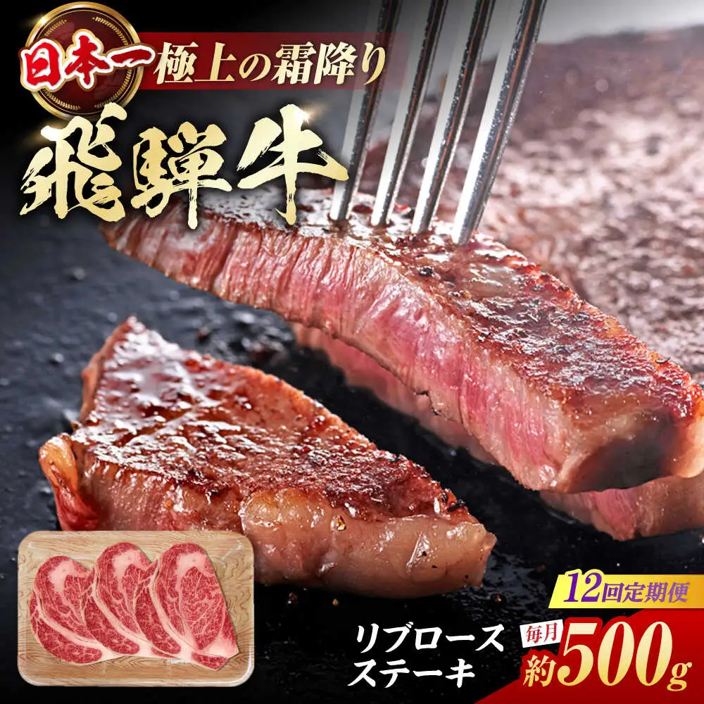 【12回定期便】飛騨牛 ステーキ用計500g / 浅井商店[AWBJ032] 飛騨牛
