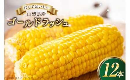 とうもろこしゴールドラッシュ　12本入り [さとう農園 山梨県 中央市 21471039] トウモロコシ スイートコーン 甘い コーン 野菜 【2027年6月下旬～7月下旬発送予定】
