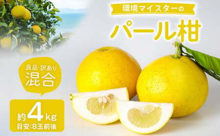 環境マイスターのパール柑 良品・訳あり混合 4kg （栽培期間中は無肥料・農薬不使用）【2027年2月上旬-4月上旬迄順次発送予定】