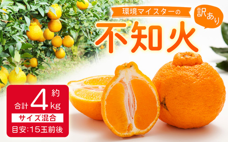 環境マイスターの不知火 訳あり 4kg（栽培期間中は無肥料・低農薬） くだもの 果物 フルーツ 不知火 しらぬい みかん 柑橘 【2027年2月上旬～5月上旬迄順次発送予定】