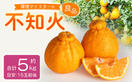 環境マイスターの不知火 良品 5kg （栽培期間中は無肥料・低農薬） 果物 くだもの フルーツ 不知火 しらぬい 柑橘 みかん 【2027年2月上旬-4月下旬迄順次発送予定】