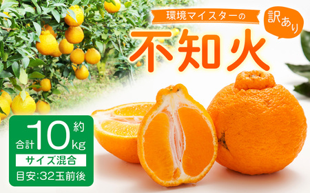 【訳あり】環境マイスターの不知火 10kg （栽培期間中は無肥料・低農薬） 果物 くだもの フルーツ 不知火 しらぬい 柑橘 みかん 【2027年2月上旬-5月上旬迄順次発送予定】