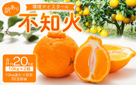 【訳あり】環境マイスターの不知火 20kg （栽培期間中は無肥料・低農薬） 果物 くだもの フルーツ 不知火 しらぬい 柑橘 みかん 【2027年2月上旬～5月上旬迄順次発送予定】