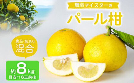 環境マイスターのパール柑 良品・訳あり混合 8kg （栽培期間中は無肥料・農薬不使用） 果物 くだもの フルーツ パール柑 柑橘 【2027年2月上旬～4月上旬迄順次発送予定】