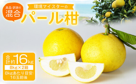 環境マイスターのパール柑 良品・訳あり混合 16kg （栽培期間中は無肥料・農薬不使用） 果物 くだもの フルーツ パール柑 柑橘 【2027年2月上旬～4月上旬迄順次発送予定】