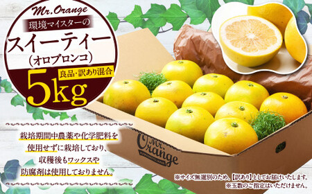 環境マイスターのスイーティー （オロブロンコ） 良品・訳あり混合 5kg【2026年12月上旬-2027年2月下旬順次発送】 果物 くだもの フルーツ