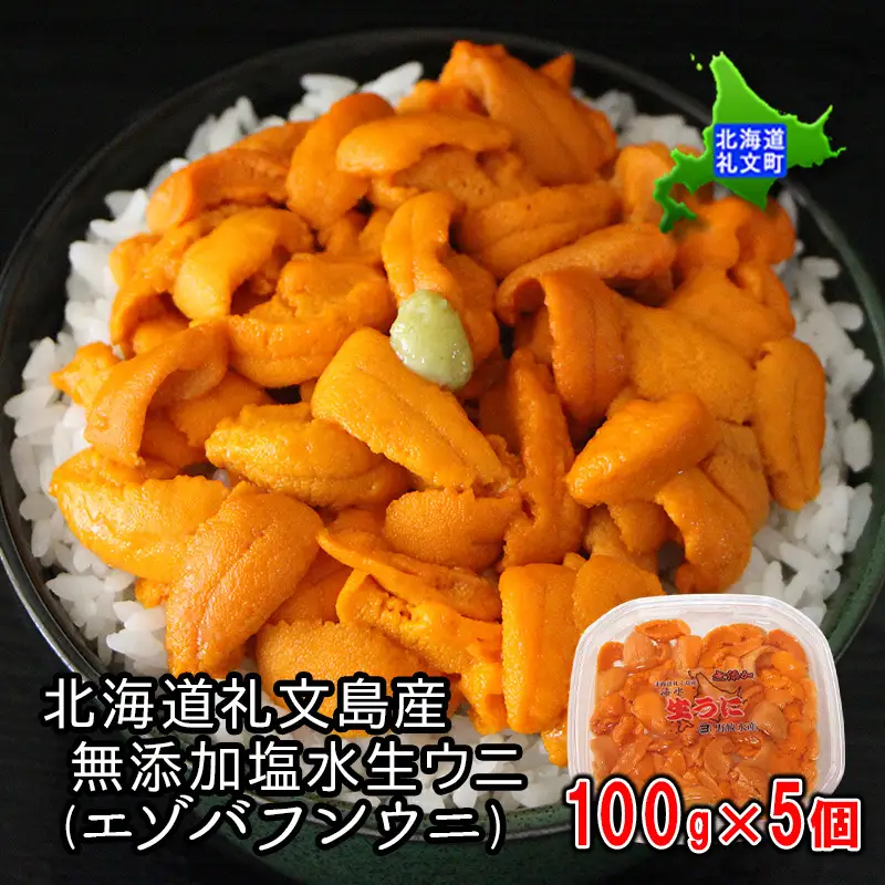 礼文産 ミョウバン不使用 塩水ウニ エゾバフンウニ 100g×5 うに