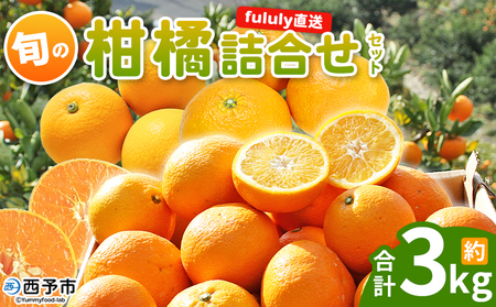 ＜fululy直送 柑橘詰合せセット 約3kg＞ 詰め合わせ 旬 食べ比べ おまかせ 果物 フルーツ 蜜柑 ポンカン 伊予柑 せとか 甘平 八朔 はるか 文旦 柑橘 贈答用 合同会社fululy 直送 愛媛県 西予市【常温】『2026年2月上旬～3月下旬迄に順次出荷』 AGF0013