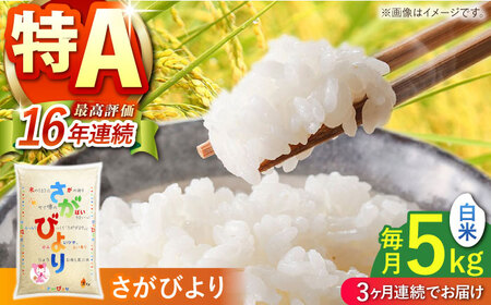 【全3回定期便】 さがびより 白米 5kg 【株式会社 JA食糧さが】[HCM015]