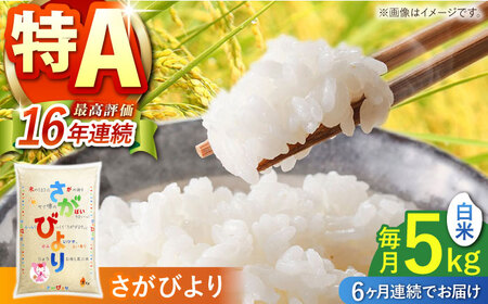 【全6回定期便】 さがびより 白米 5kg 【株式会社 JA食糧さが】[HCM016]
