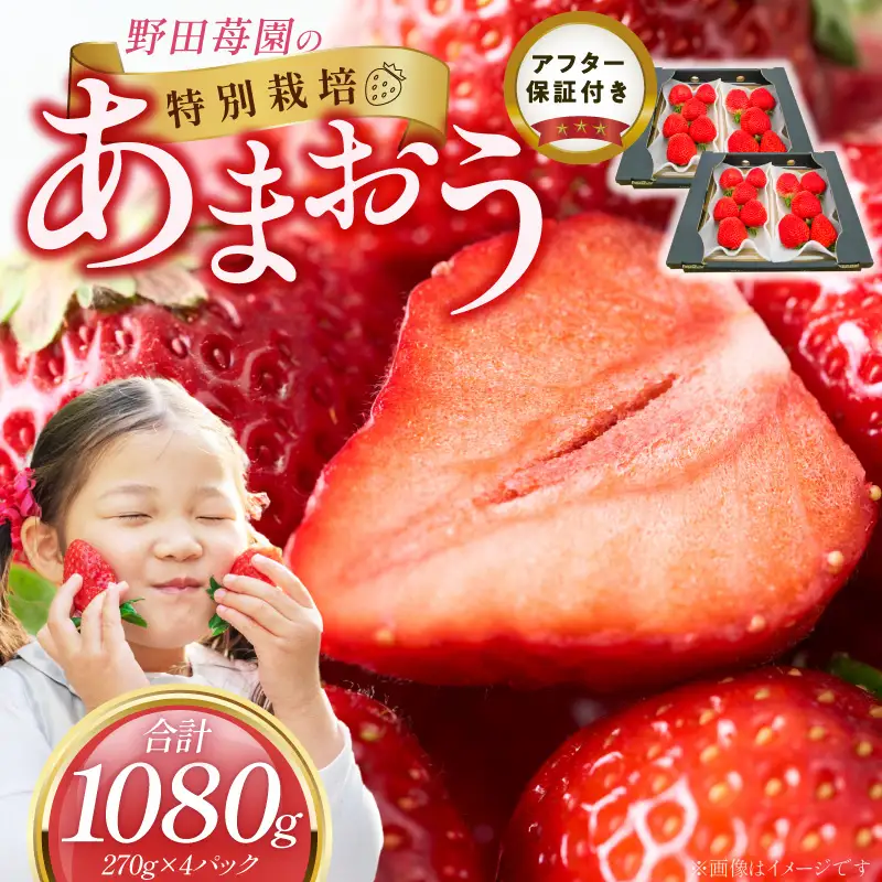 【2027年2月から順次発送】苺（あまおう）270g×2パック×2箱 _ いちご あまおう フルーツ〔Fi076〕