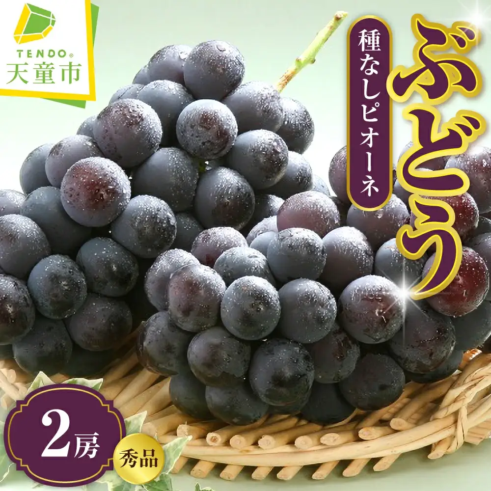 ぶどう 種なし ピオーネ 1kg フルーツ 果物 山形 天童 ブドウ
