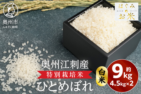 特別栽培米 hugmiのお米 奥州江刺産 ひとめぼれ 約9kg (約4.5kg×2袋)  白米 [BJ008]