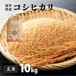 【定期便3回】コシヒカリ 玄米 10kg（10kg×1）令和7年産 [095-t3-a004] 