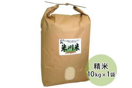 米川こしひかり　精米　10kg ／ お米 コシヒカリ 白米 希少品 山口県 特産品 No.018
