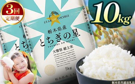 【3回定期便】栃木県産 とちぎの星 10kg | 栃木県 下野市