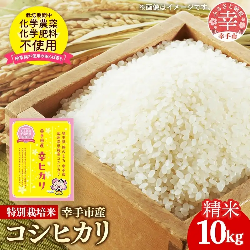 【令和7年産】無農薬・無化学肥料栽培 埼玉県幸手市産特別栽培コシヒカリ 「幸ヒカリ」精米10kg -  米 特別栽培米 幸手市産
