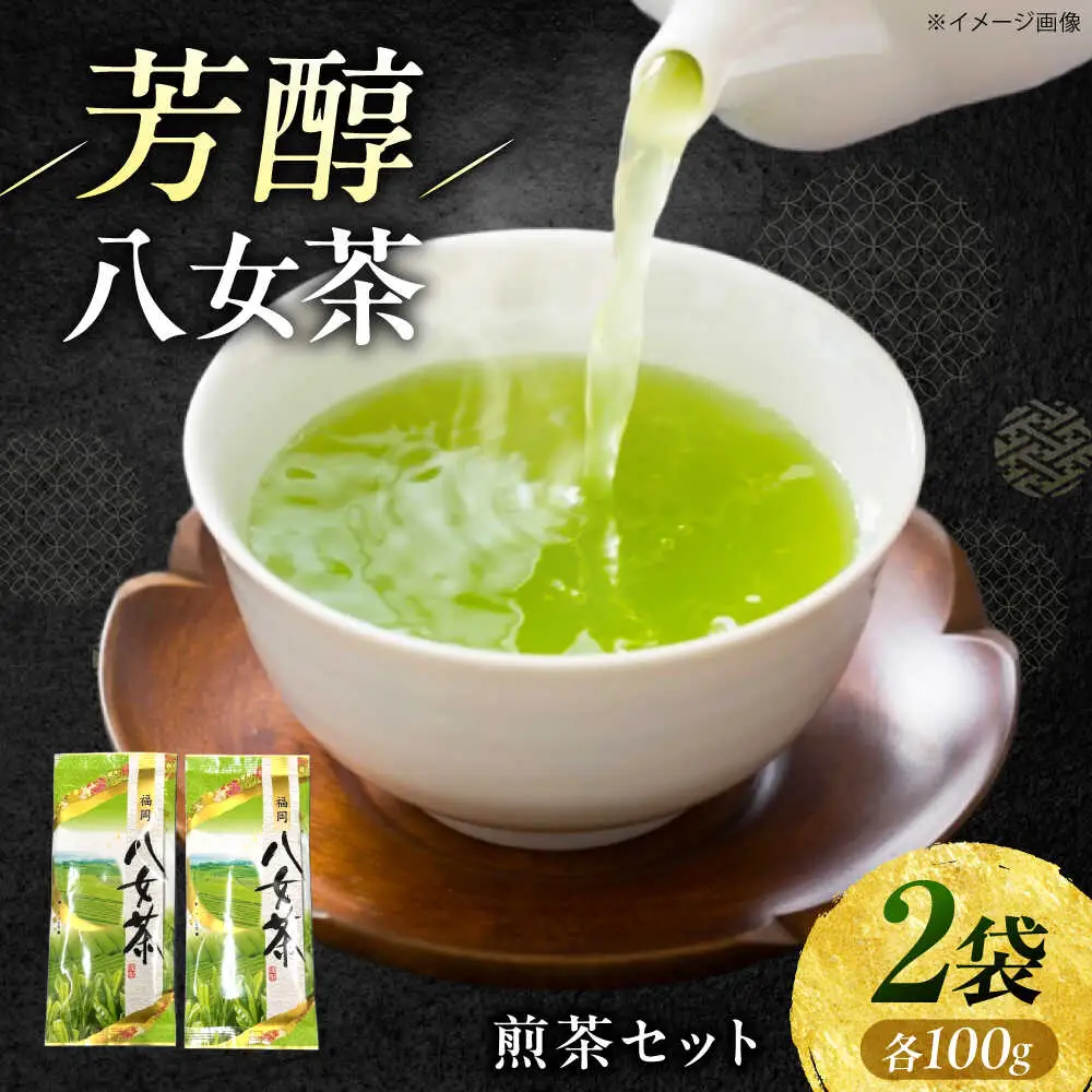 八女茶 煎茶セット 100g×2袋 [VEH016]