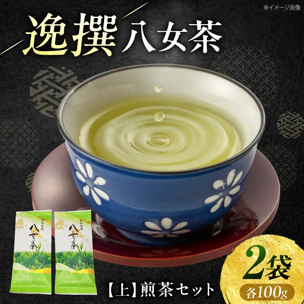 八女茶【上】煎茶セット 100g×2袋 [VEH017]