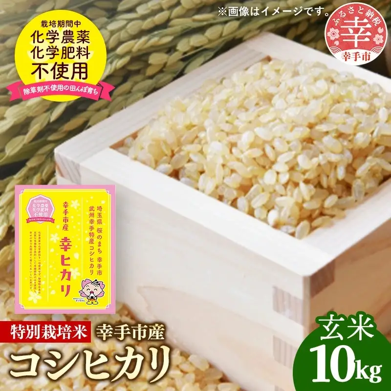 【令和7年産】無農薬・無化学肥料栽培 埼玉県幸手市産特別栽培コシヒカリ 「幸ヒカリ」玄米10kg - 米 特別栽培米 幸手市産