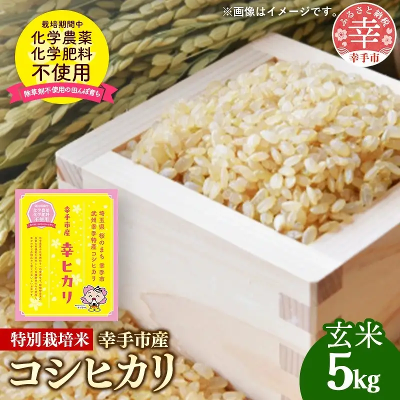 【令和7年産】無農薬・無化学肥料栽培 埼玉県幸手市産特別栽培コシヒカリ 「幸ヒカリ」玄米5kg -  米 特別栽培米 幸手市産