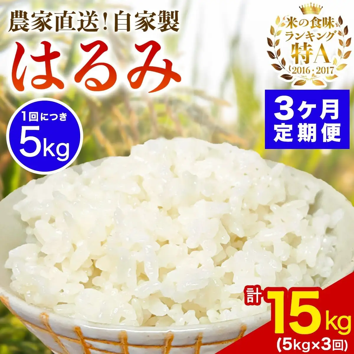 [定期便／3ヶ月連続 ]新米[令和8年産／10月下旬より順次発送] 伊勢原産 精米5kg はるみ 農家直送！加藤さんちのうんめぇ！自家製米 [1103]
