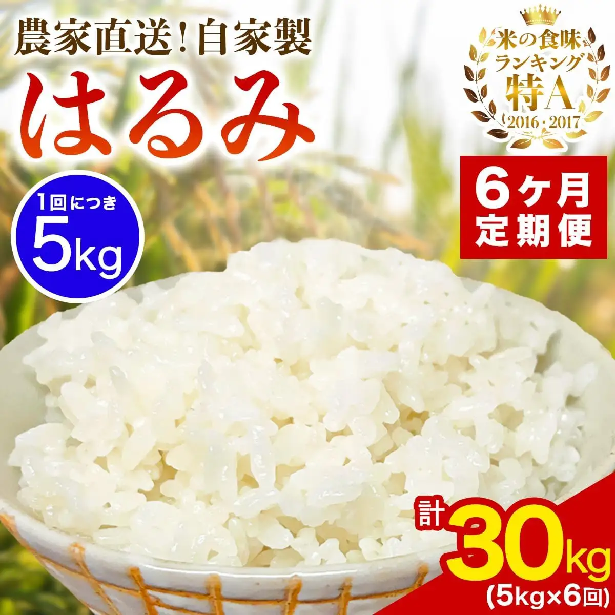 [定期便／6ヶ月連続 ]新米[令和8年産／10月下旬より順次発送] 伊勢原産 精米5kg はるみ 農家直送！加藤さんちのうんめぇ！自家製米 [1104]