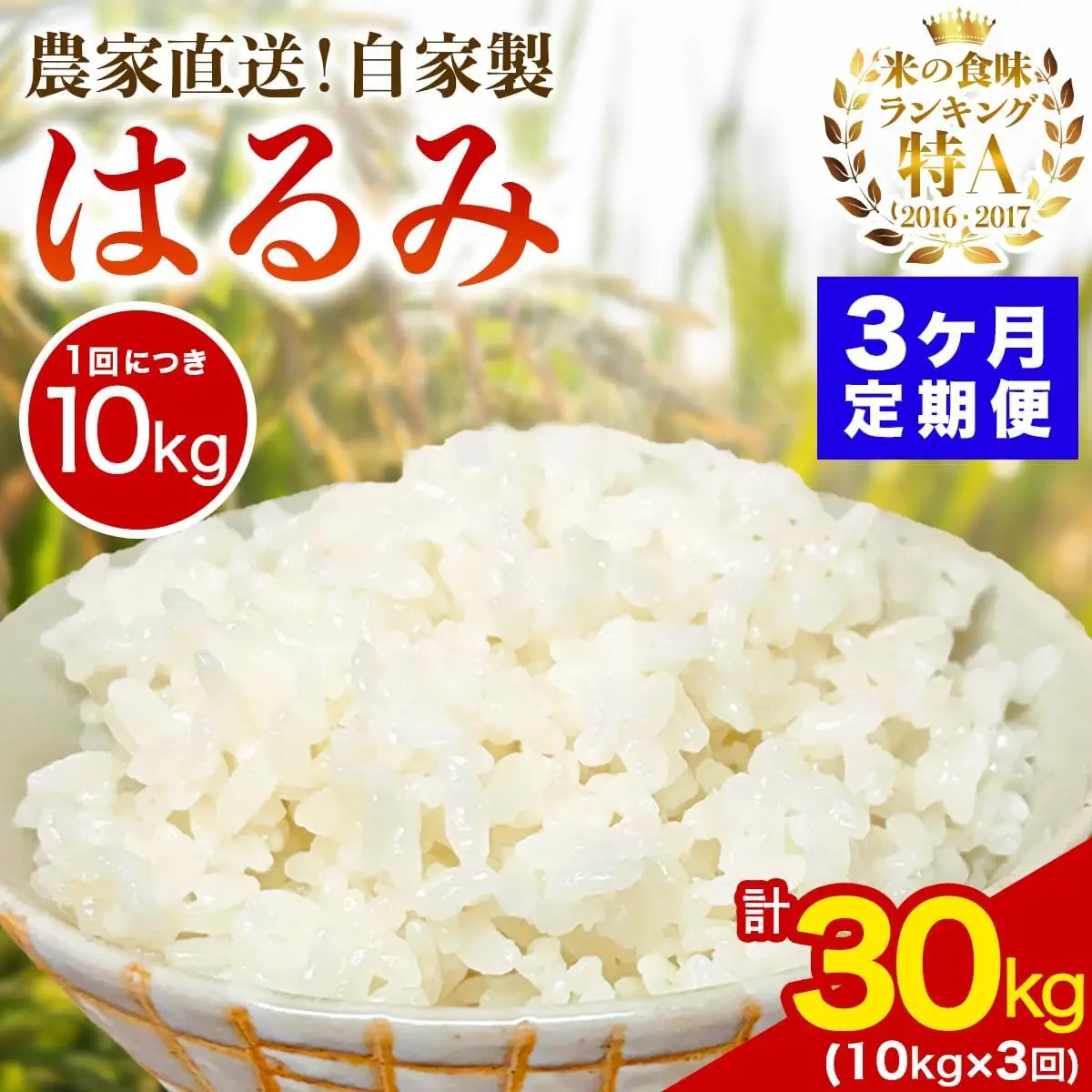 [定期便／3ヶ月連続 ]新米[令和8年産／10月下旬より順次発送] 伊勢原産 精米10kg(5kg×2袋) はるみ 農家直送！加藤さんちのうんめぇ！自家製米 [1106]
