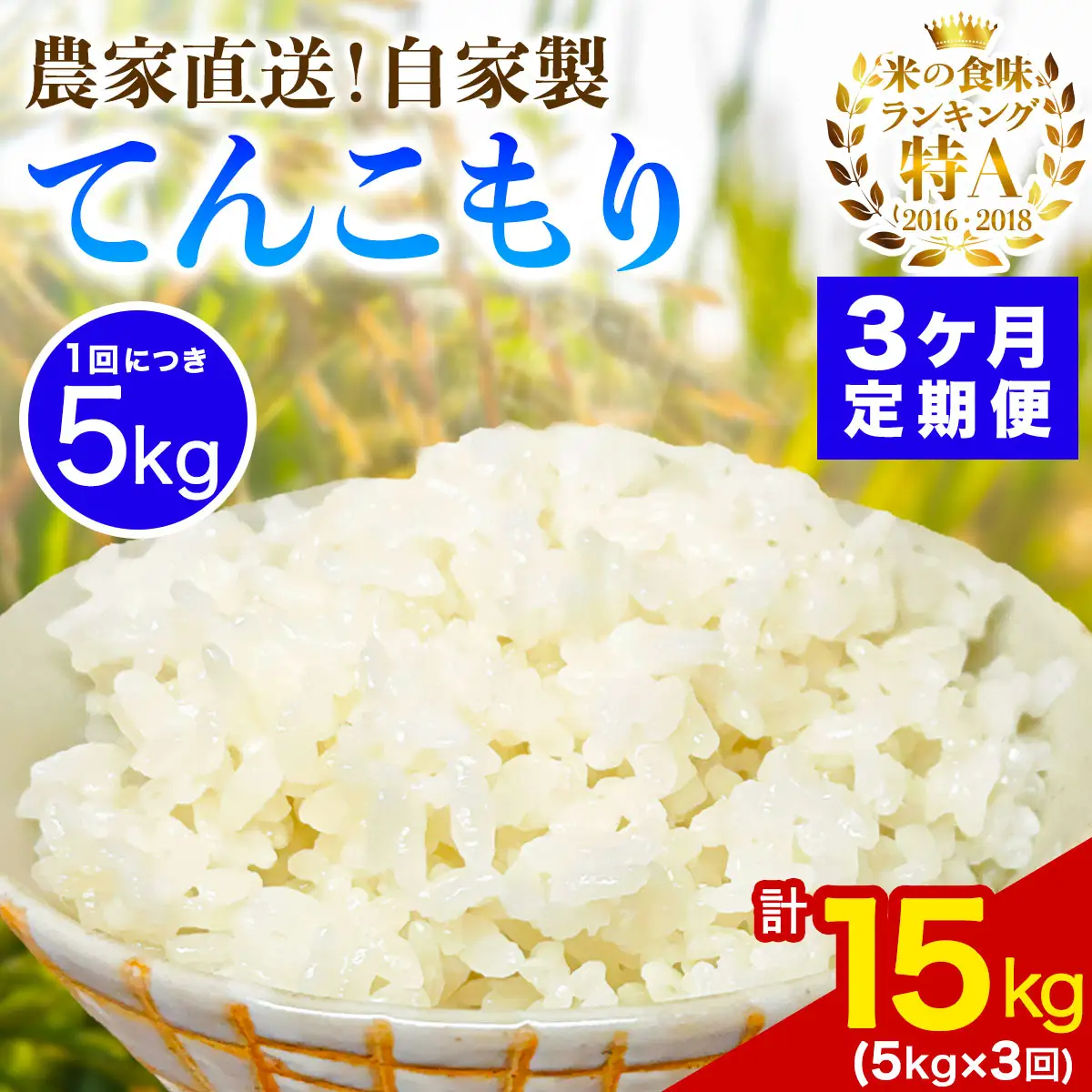 [定期便／3ヶ月連続 ]新米 [令和8年産／11月上旬より順次発送] 伊勢原産 精米5kg てんこもり 農家直送！加藤さんちのうんめぇ！自家製米 [1110]