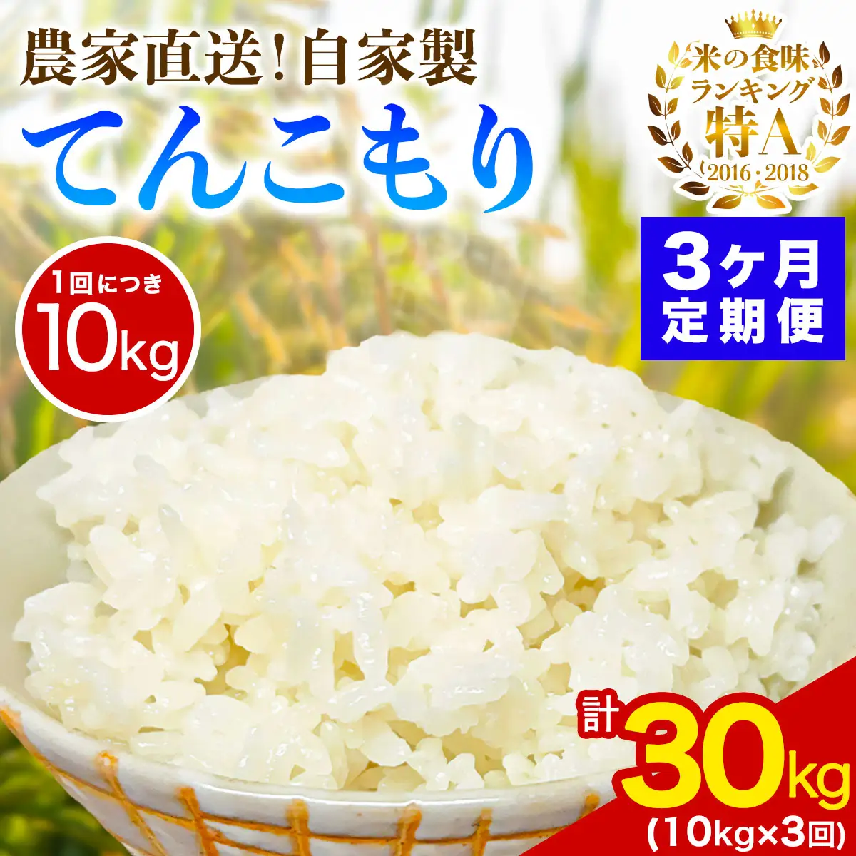 [定期便／3ヶ月連続 ]新米 [令和8年産／11月上旬より順次発送] 伊勢原産 精米10kg(5kg×2袋) てんこもり 農家直送！加藤さんちのうんめぇ！自家製米 [1113]