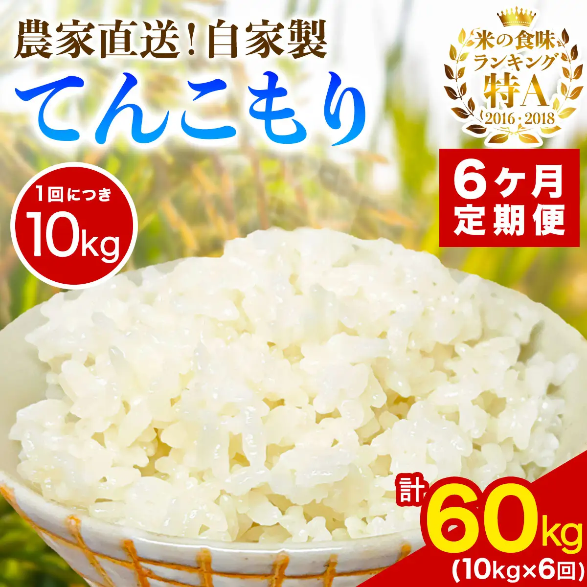 [定期便／6ヶ月連続 ]新米 [令和8年産／11月上旬より順次発送] 伊勢原産 精米10kg(5kg×2袋) てんこもり 農家直送！加藤さんちのうんめぇ！自家製米 [1114]