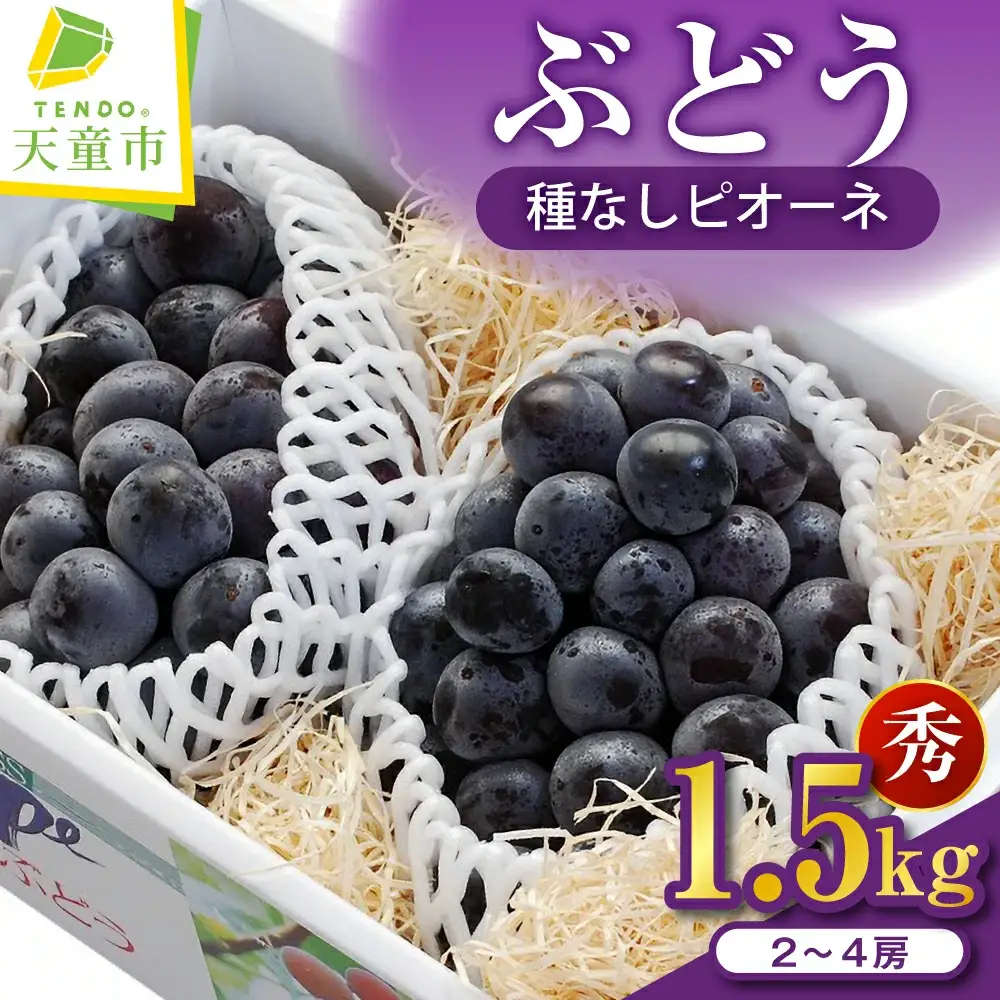 ぶどう 種なし ピオーネ 1.5kg フルーツ 果物 山形 ブドウ