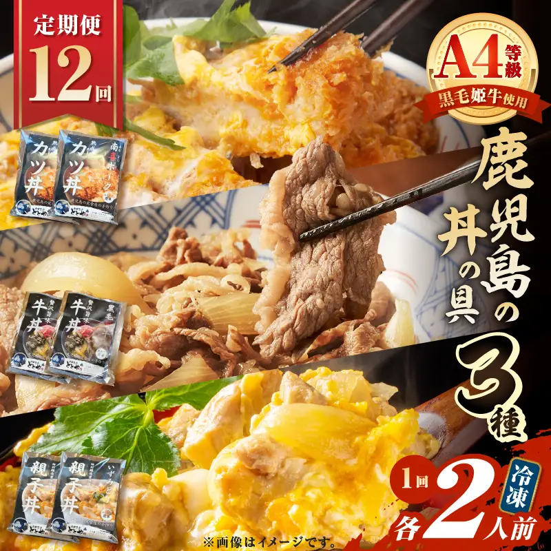 【 全12回 定期便 】鹿児島 の 丼 の 具 3種セット（2人前） K258-T05_02c 肉 豚肉 牛肉 惣菜 総菜 冷凍
